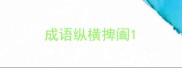 成语纵横捭阖