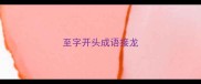 至字开头成语接龙