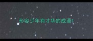 形容少年有才华的成语