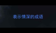 表示情深的成语
