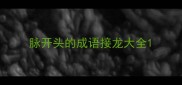 脉开头的成语接龙大全
