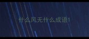 什么风无什么成语