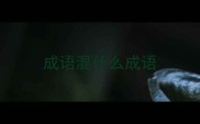 成语混什么成语