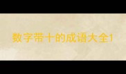 数字带十的成语大全