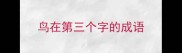 鸟在第三个字的成语