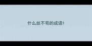 什么丝不苟的成语
