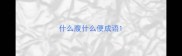 什么腹什么便成语