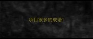 项目很多的成语