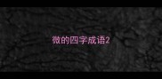 微的四字成语