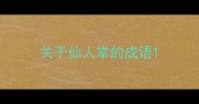 关于仙人掌的成语