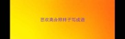悲欢离合照样子写成语