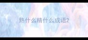 熟什么精什么成语