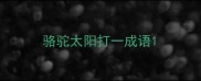 骆驼太阳打一成语