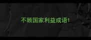 不顾国家利益成语