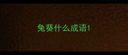 兔葵什么成语