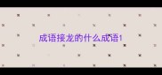 成语接龙的什么成语