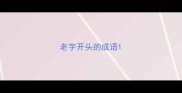 老字开头的成语