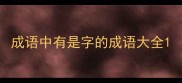 成语中有是字的成语大全