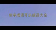 信字成语开头成语大全