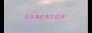 形容睡的香的成语