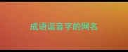 成语谐音字的网名