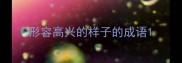形容高兴的样子的成语