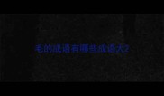 毛的成语有哪些成语大