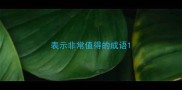 表示非常值得的成语