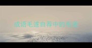 成语毛遂自荐中的毛遂