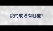 貌的成语有哪些