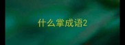 什么掌成语