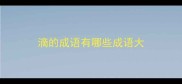 滴的成语有哪些成语大