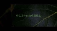 什么发什么的成语接龙