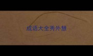 成语大全秀外慧