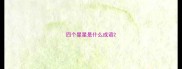 四个星星是什么成语