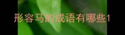 形容马的成语有哪些