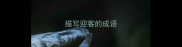 描写迎客的成语