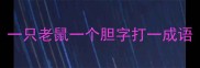 一只老鼠一个胆字打一成语