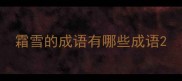 霜雪的成语有哪些成语