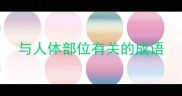 与人体部位有关的成语