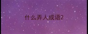 什么弄人成语