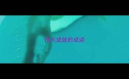很大成就的成语