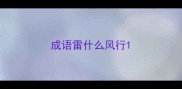成语雷什么风行