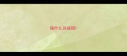独什么其成语