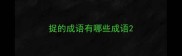捉的成语有哪些成语