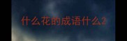 什么花的成语什么