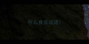 什么食言成语