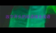改字开头的成语接龙成语
