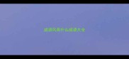 成语风高什么成语大全