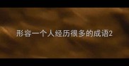 形容一个人经历很多的成语